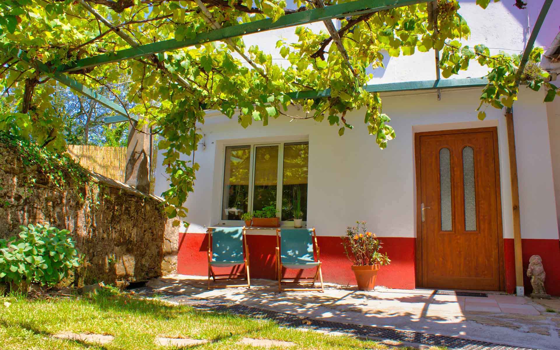 Patio under the grapevines